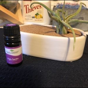 Plant Therapy Palo Santo Essential Oil